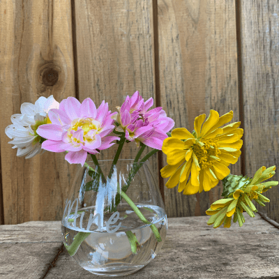 A few flowers in a glass vase.
